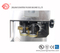 SELLADOR DE BANDA SERIE DBF (Acero inoxidable DBF-770WL)