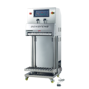 Macchina per sottovuoto VS-600L per sacchetti verticali per chicchi di riso Macchina per sottovuoto grande per sacchetti in Pe